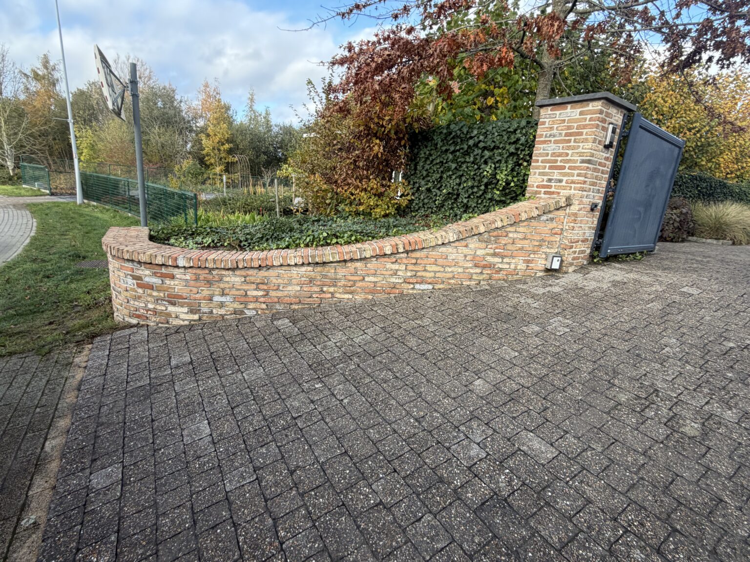 image00013